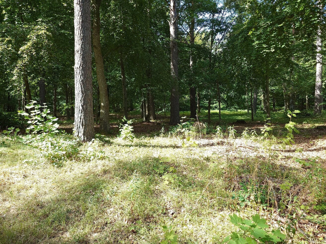 Villa Giacomina Parken-Lidkoping必去景点