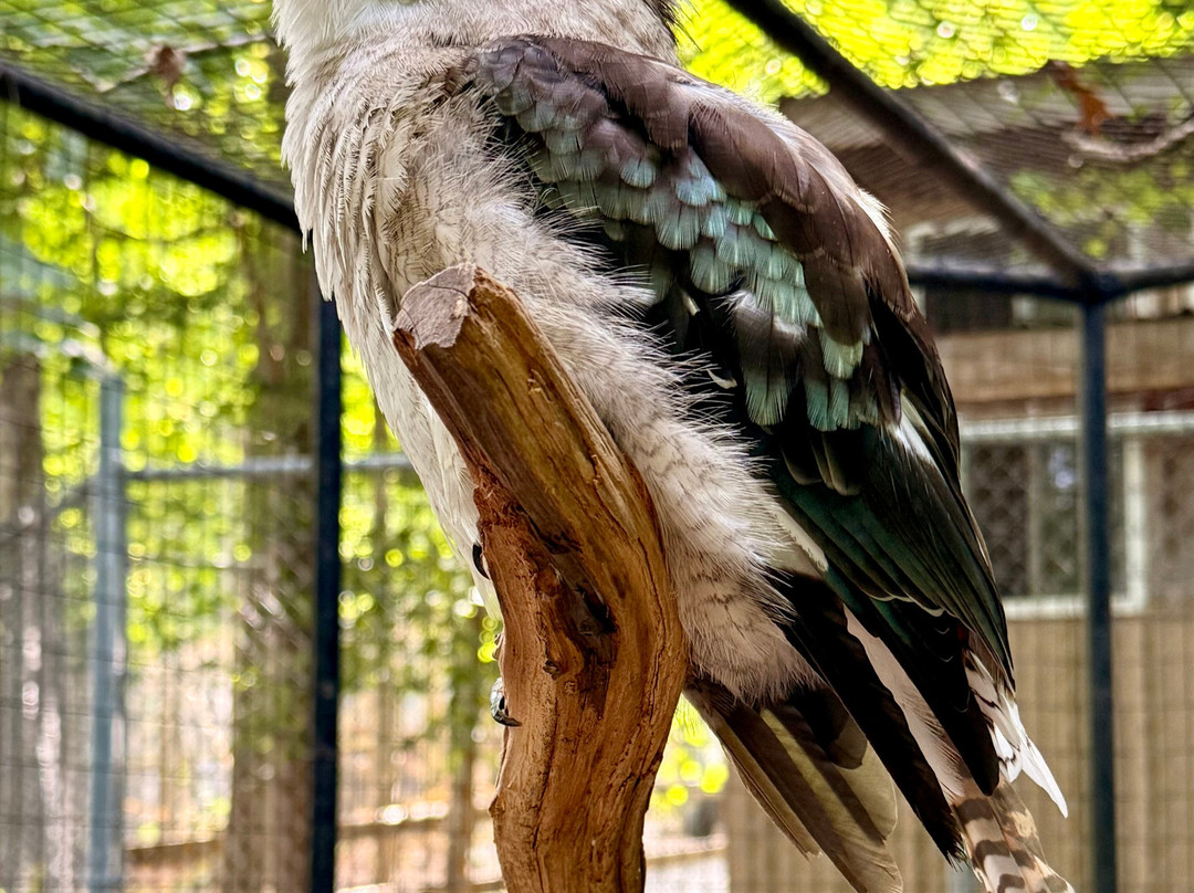 Kentucky Down Under Adventure Zoo-Horse Cave必去景点