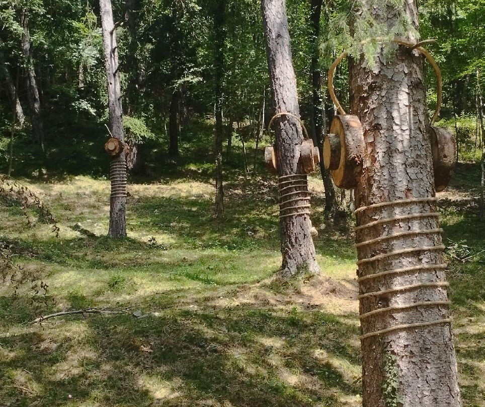 BoscoArteStenico Museo d'Arte nella Natura-Stenico必去景点