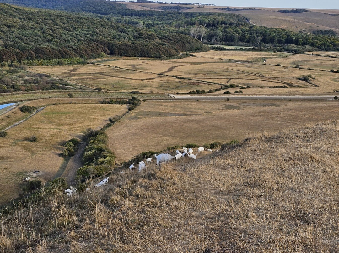 Litlington White Horse