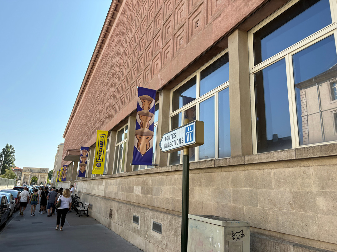 Muséum-Aquarium de Nancy-南锡必去景点