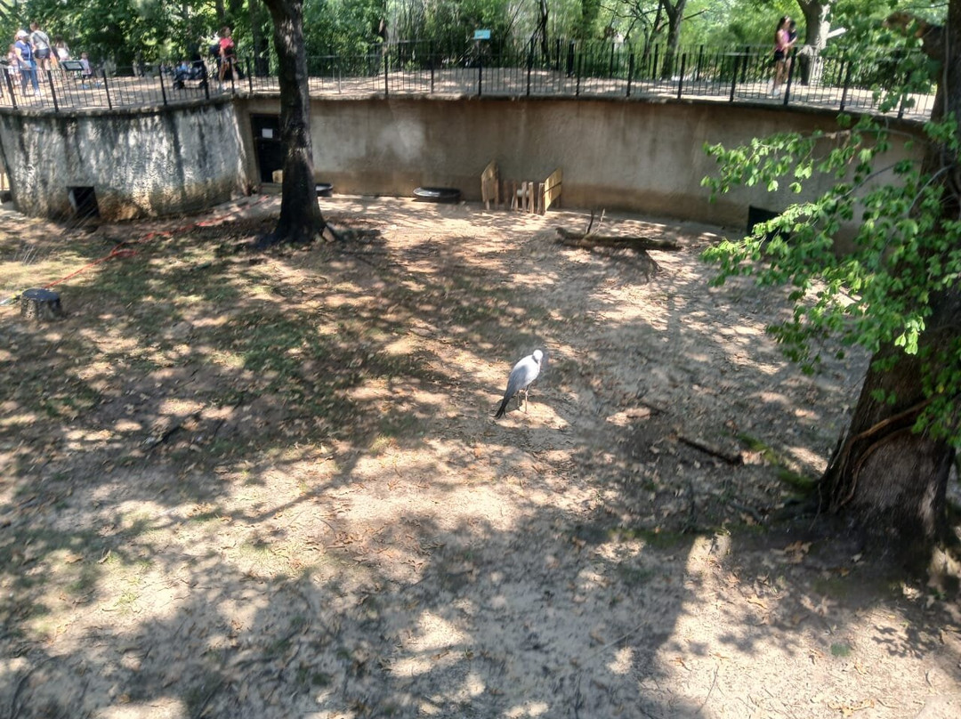 Little Rock Zoo-小石城必去景点