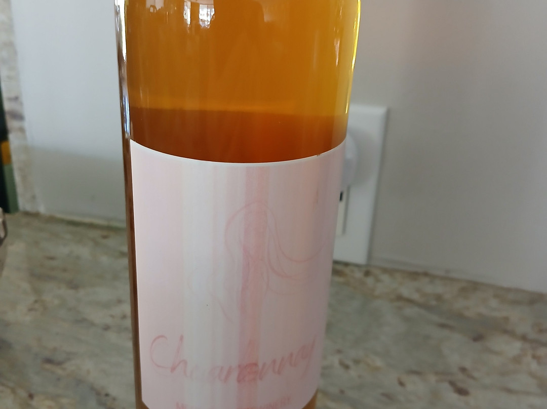 Medina River Winery-Castroville必去景点