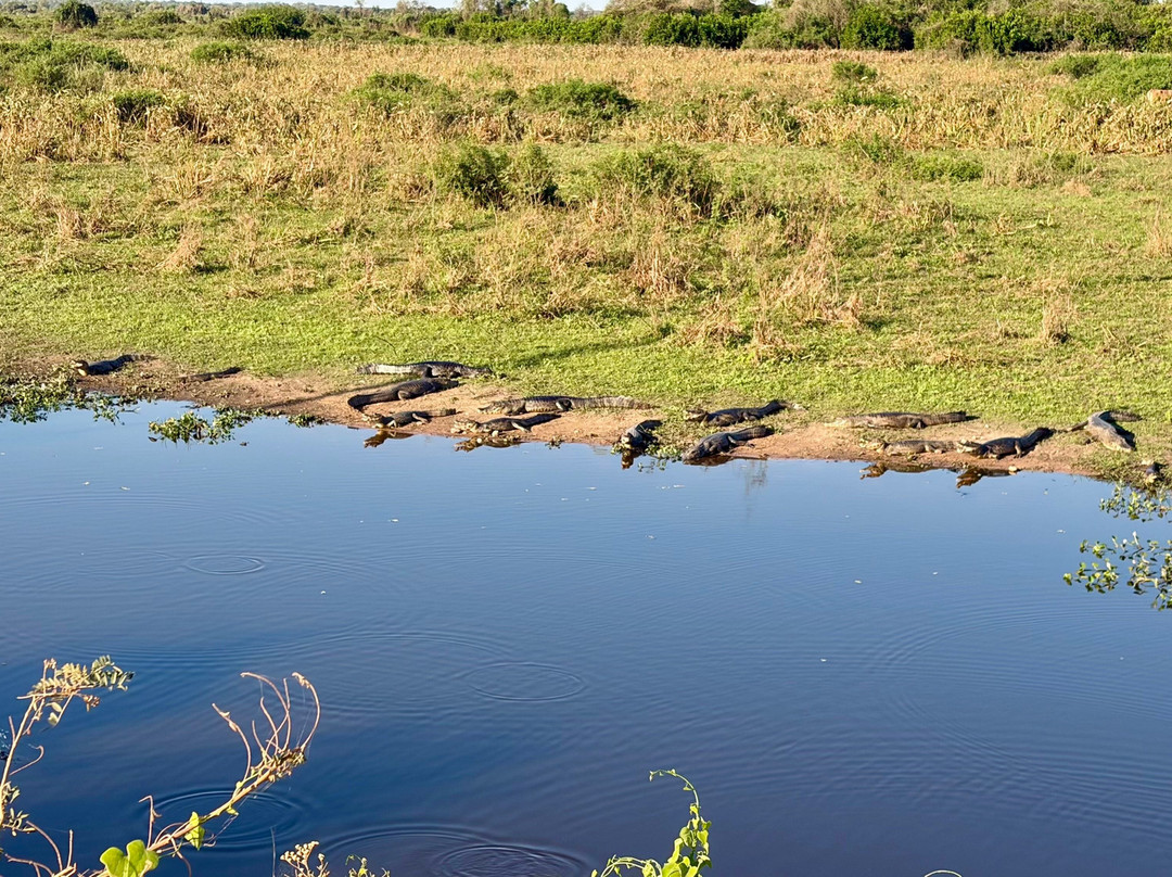 Parque Nacional do Pantanal Matogrossense-波科内必去景点