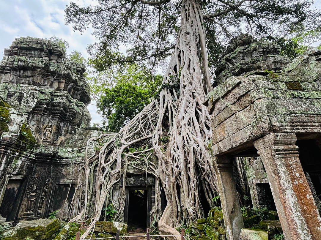 Angkor en Espanol-暹粒必去景点