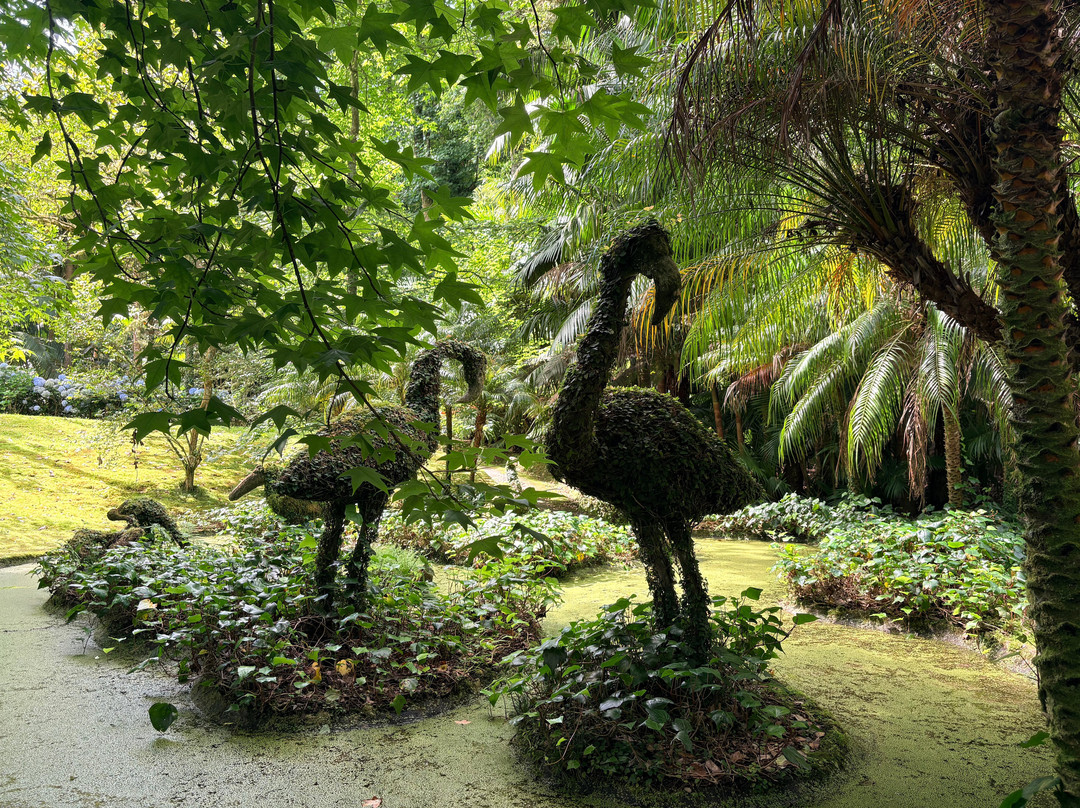 Parque Terra Nostra-富尔纳斯必去景点