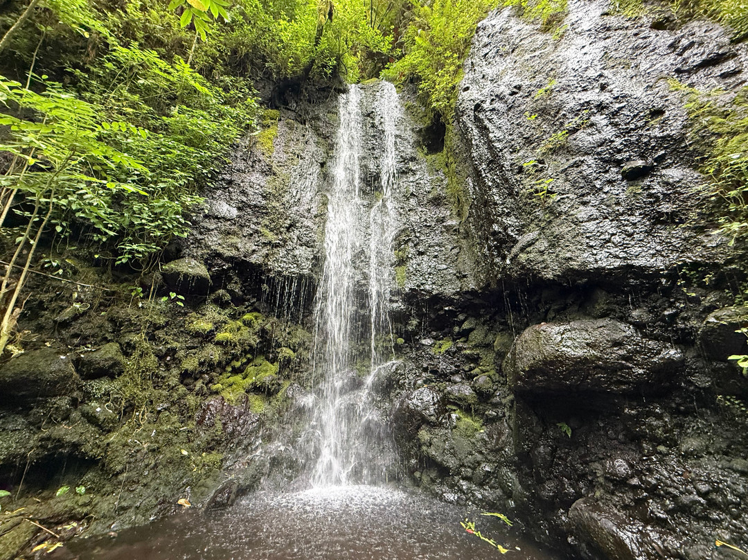 Vaihiria Quad Tahiti-Mataiea必去景点