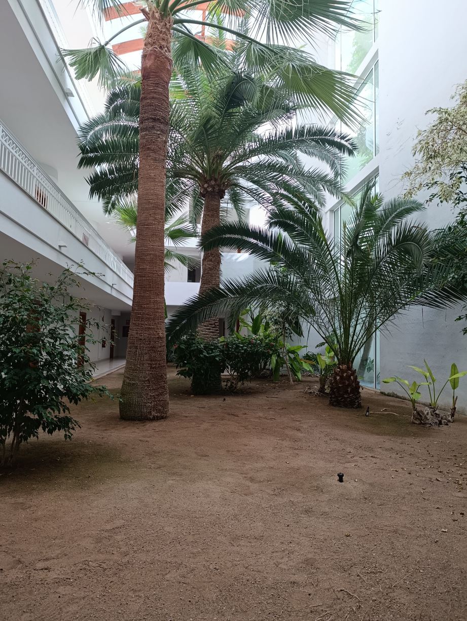 绿色花园公寓式酒店-旅行者