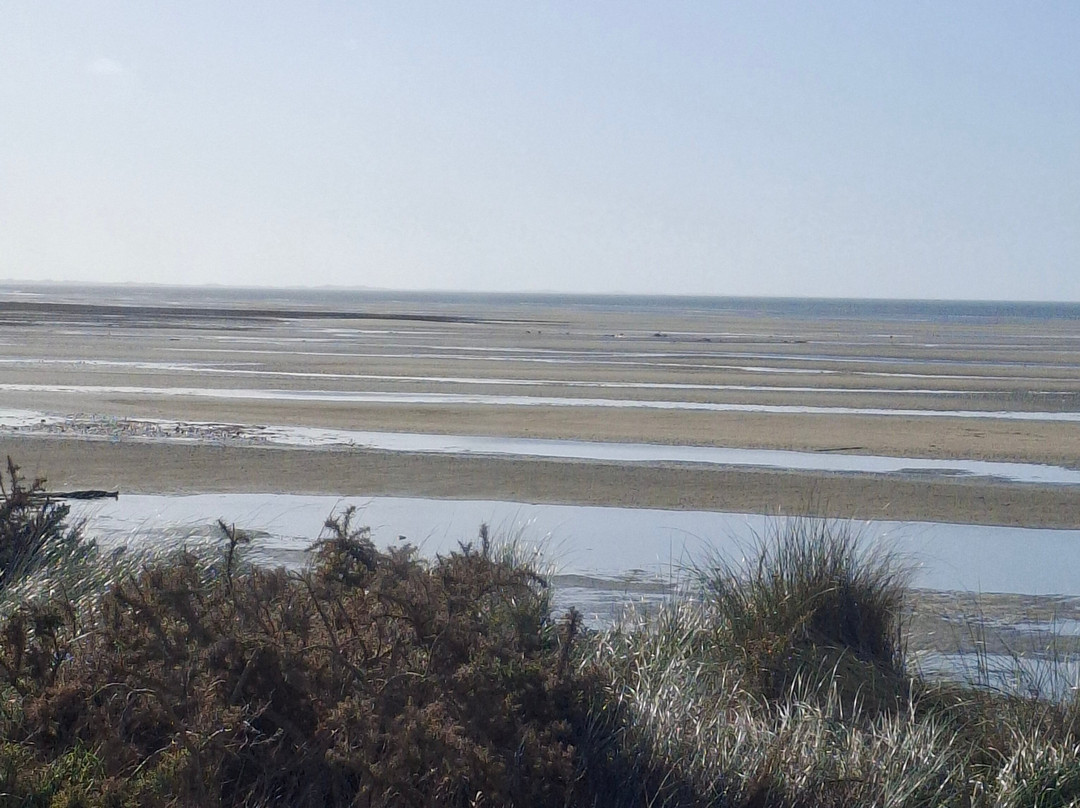 Farewell Spit Eco Tours-Collingwood必去景点