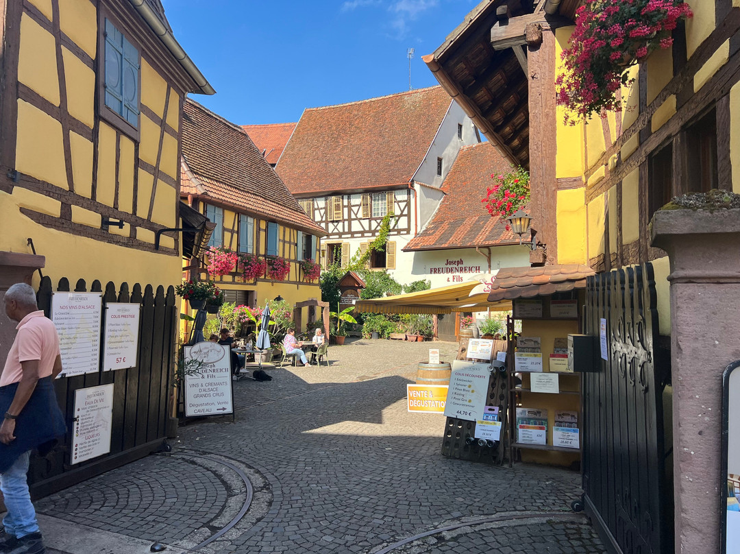 Vins d'Alsace Joseph Freudenreich et fils-艾古斯汉必去景点
