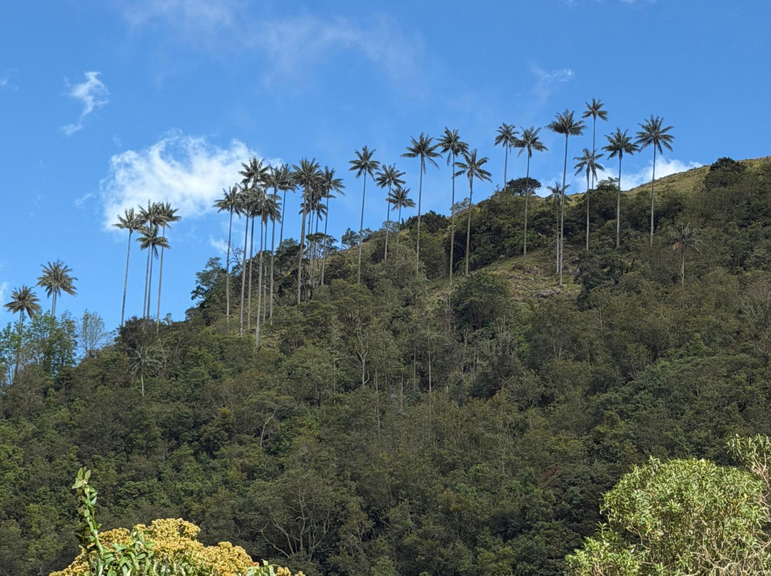 Tomplanmytrip-Copacabana必去景点