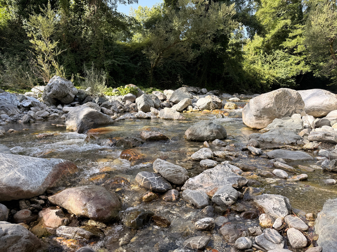 Bosco Magnano - Torrente Peschiera-San Severino Lucano必去景点