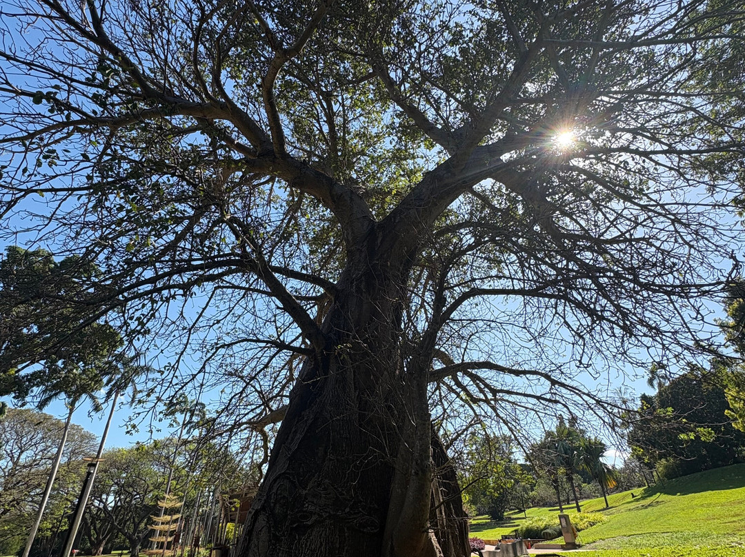 George Brown Darwin Botanic Gardens-达尔文市必去景点
