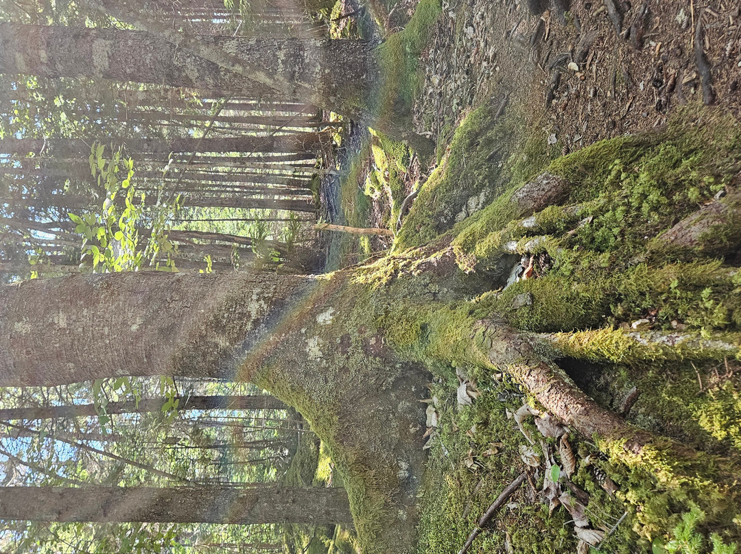 Barred Island Preserve-Deer Isle必去景点