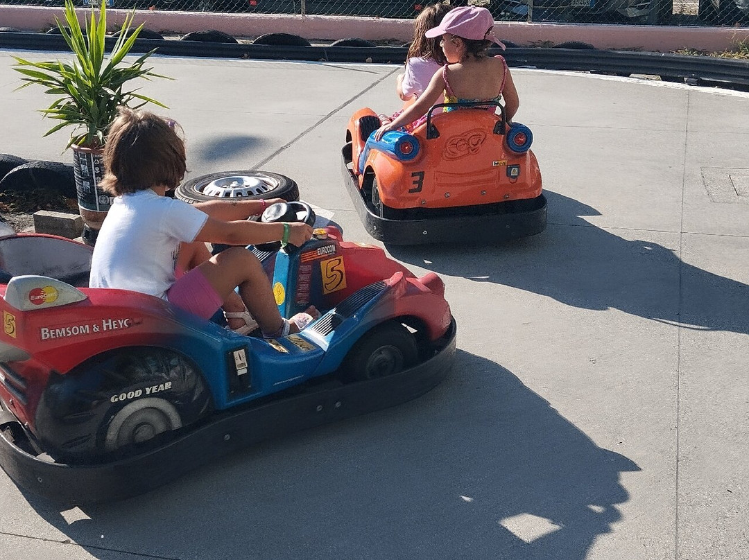 Parco Giochi dei Cigni-Villamarina必去景点