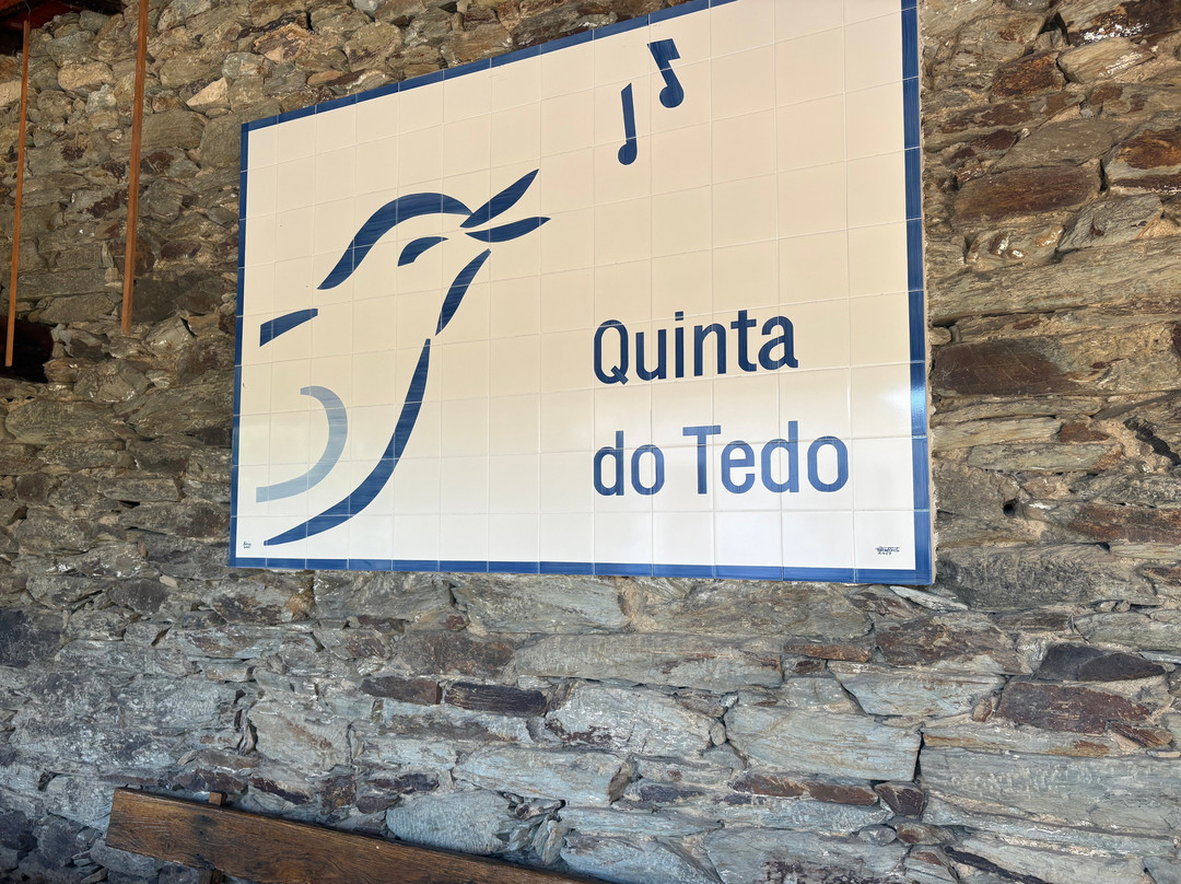 Quinta do Tedo主图