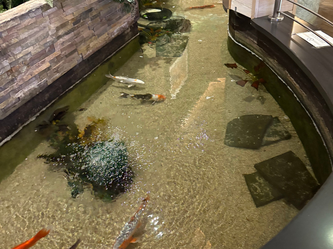 河滨小屋酒店主图