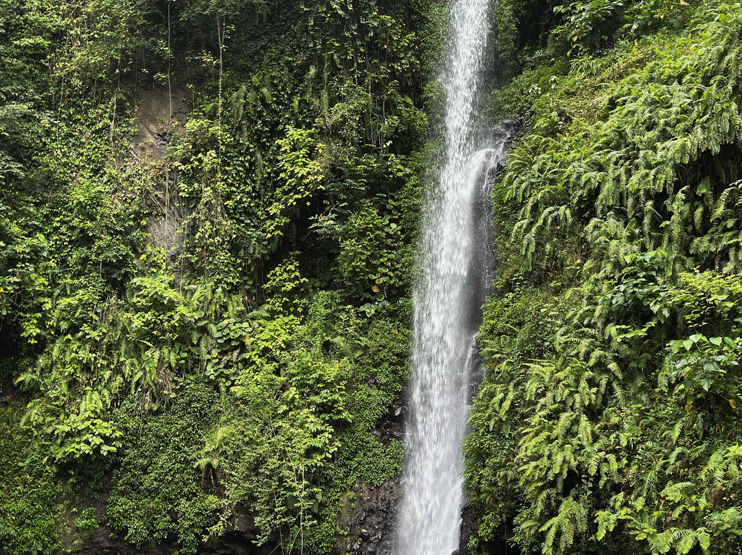 Bombaim Waterfalls-Bombaim必去景点
