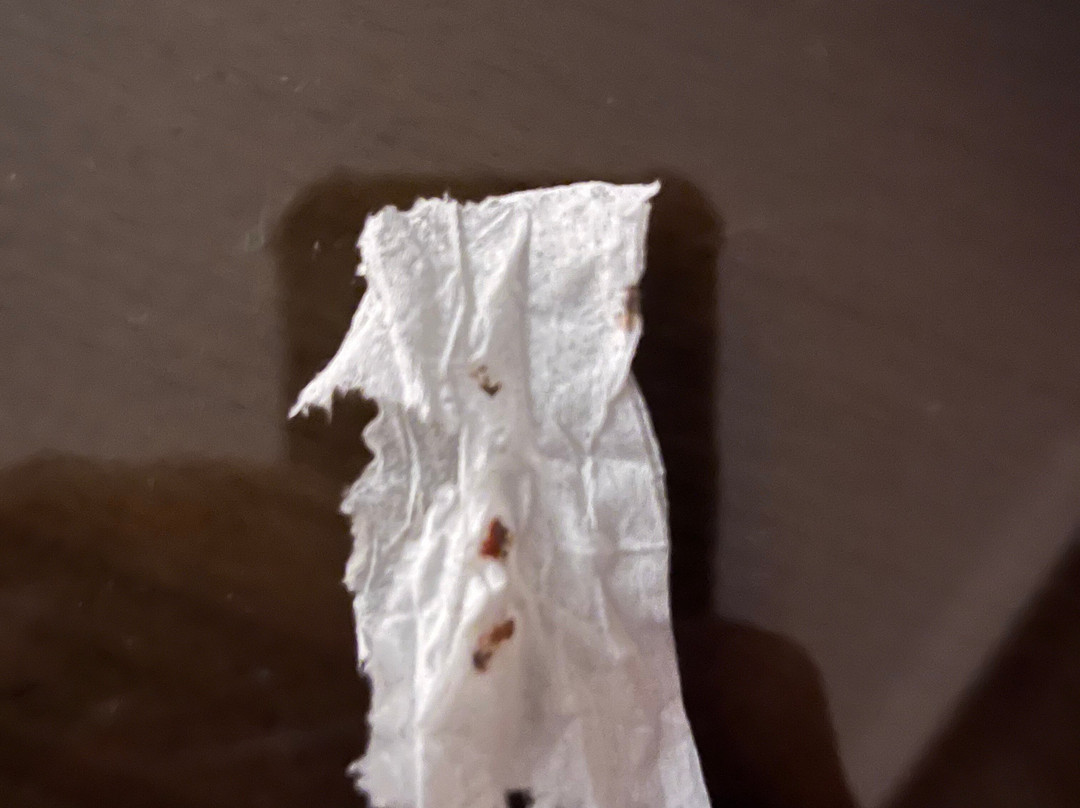 格拉斯豪斯酒店主图