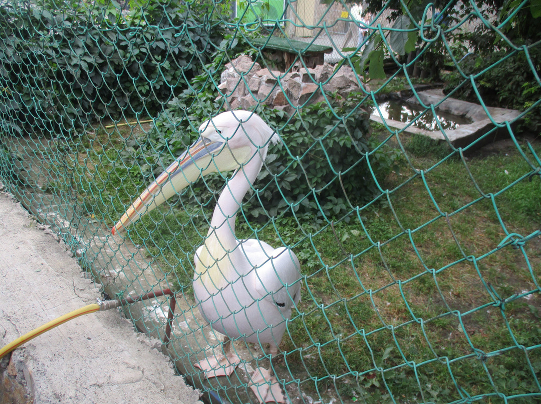 Chelyabinsk Zoo-车里雅宾斯克必去景点
