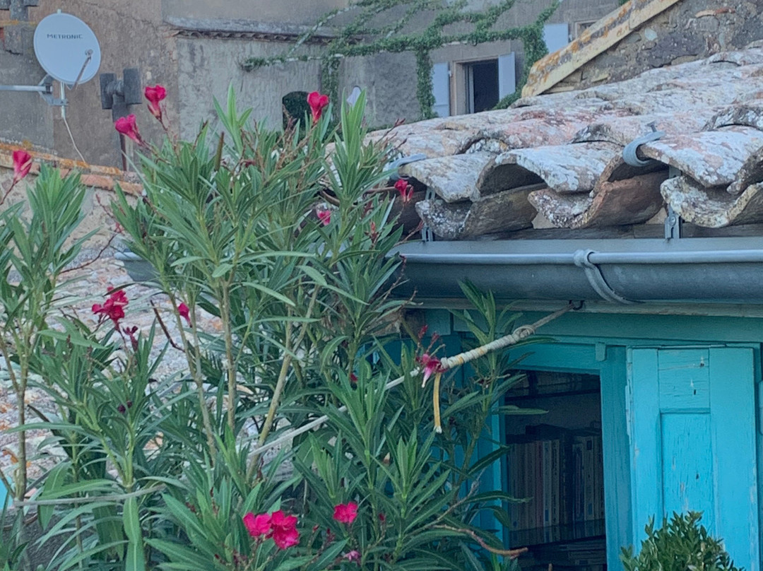 河畔家庭小屋主图