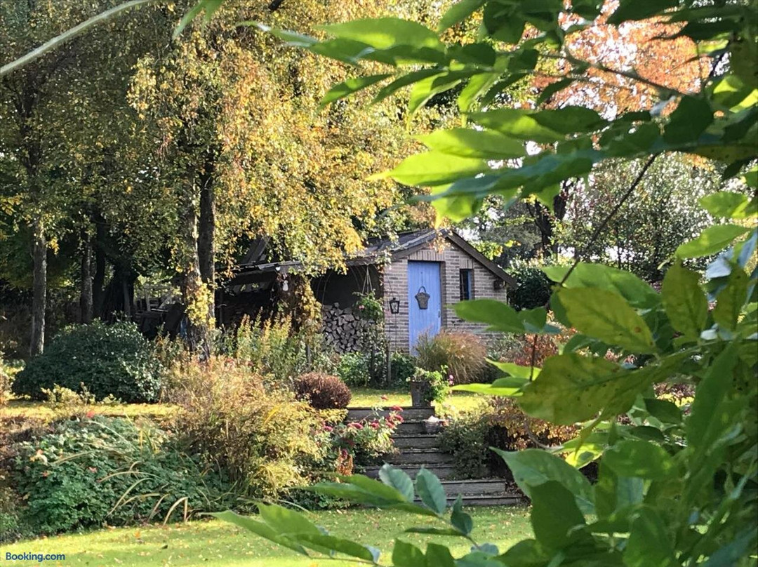 Un Matin au Jardin