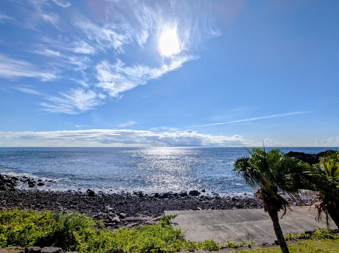 Izu Oceanic Park Diving Center - I.O.P.-伊东市必去景点