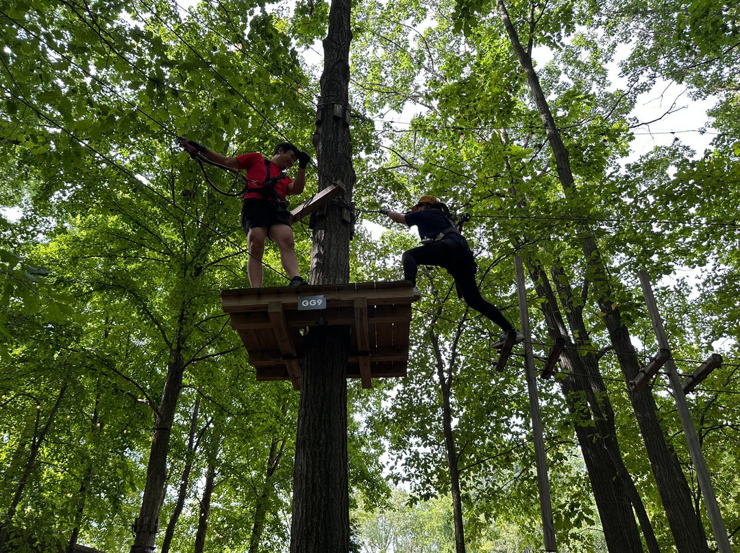 TreeRunner West Bloomfield Adventure Park-西布鲁姆菲尔德必去景点