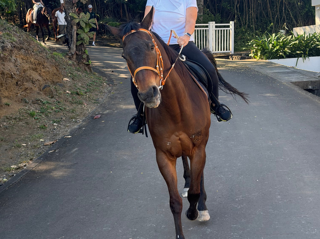 Maritim Equestrian Centre-巴拉克拉瓦必去景点
