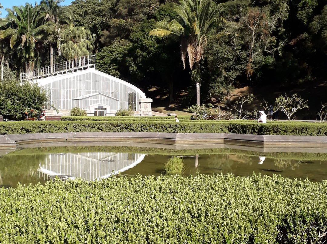 Jardim Botânico de São Paulo-圣保罗必去景点