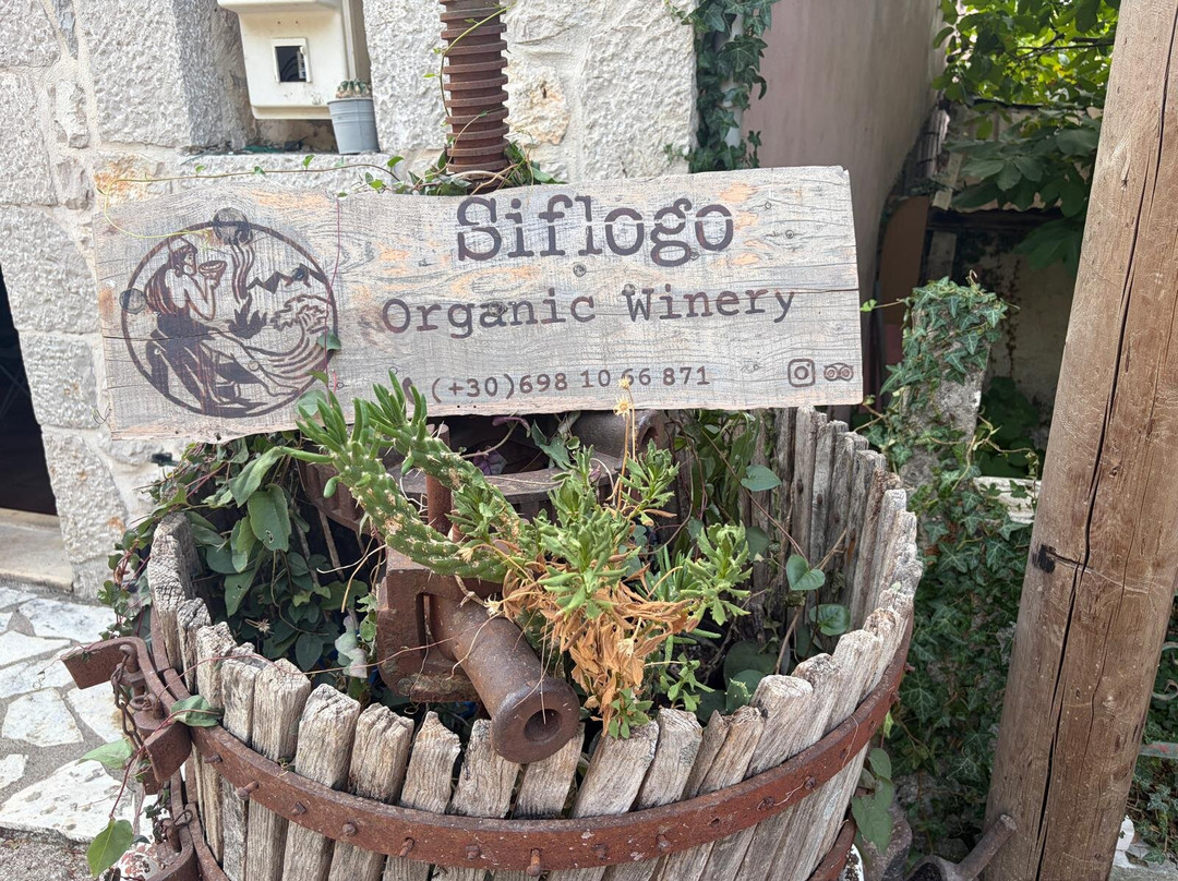 Siflogo Winery-莱夫卡扎必去景点