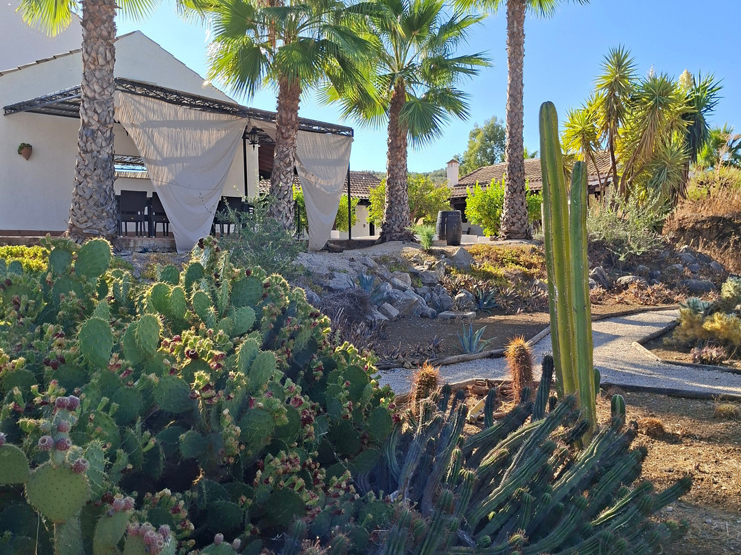 B&b Hacienda Riogordo主图