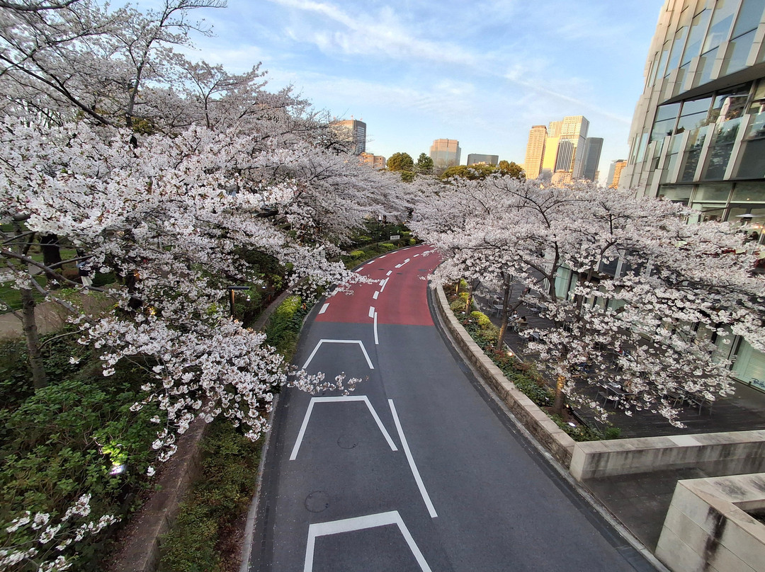 Tokyo Midtown Garden-Akasaka必去景点