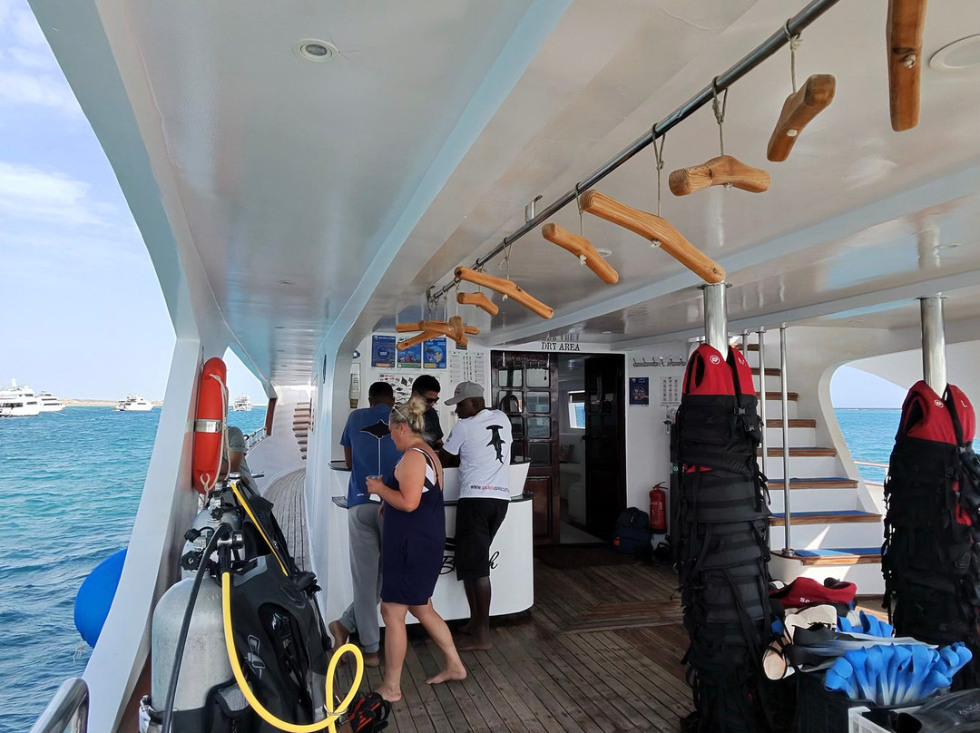 Atlantik Diving Center-艾尔可西利亚必去景点