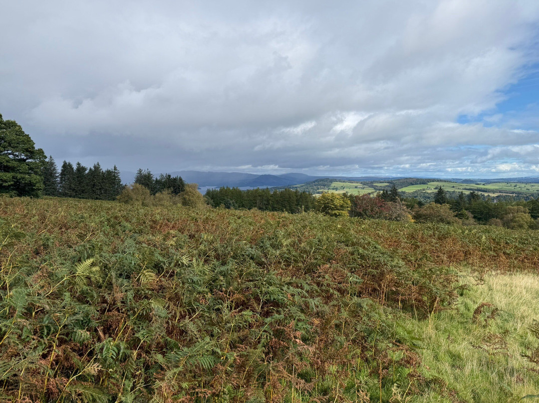 Loch Lomond Pony Trekking-Balloch必去景点