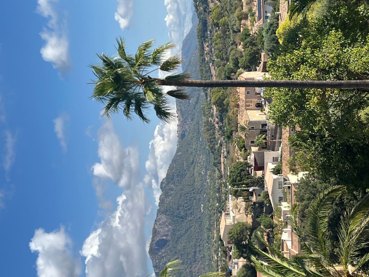 索恩阿尔瑙农庄-旅行者