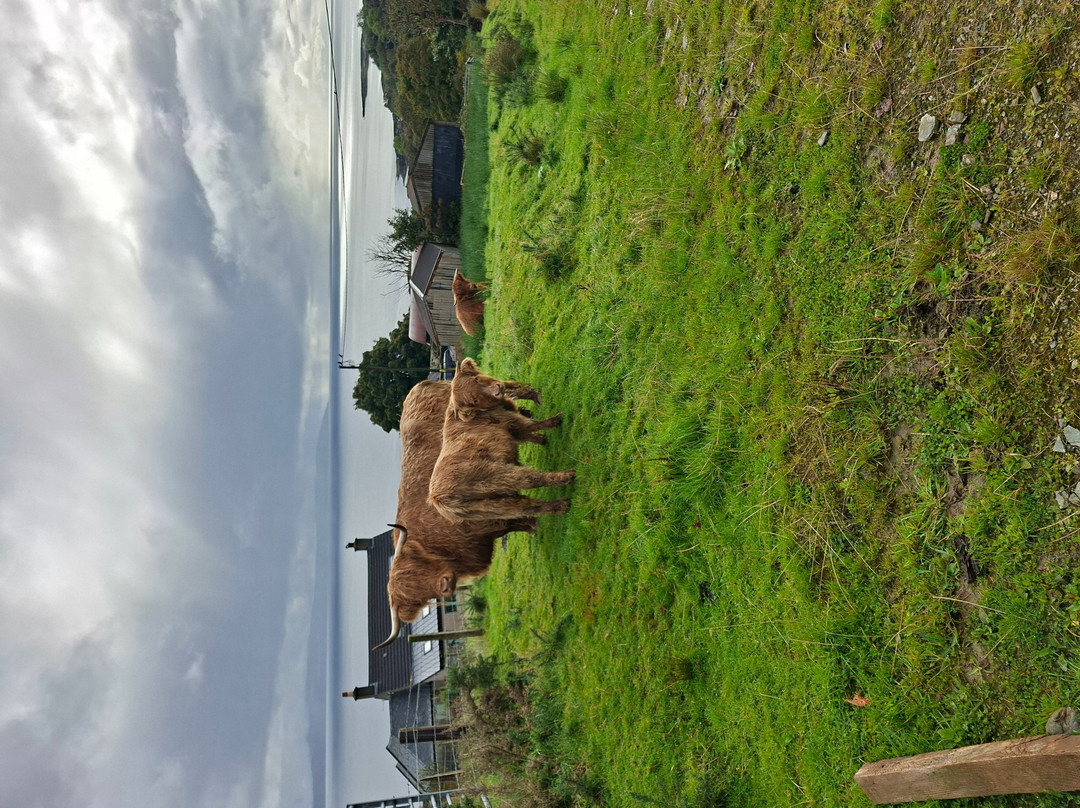 Kintyre Glamping Pods