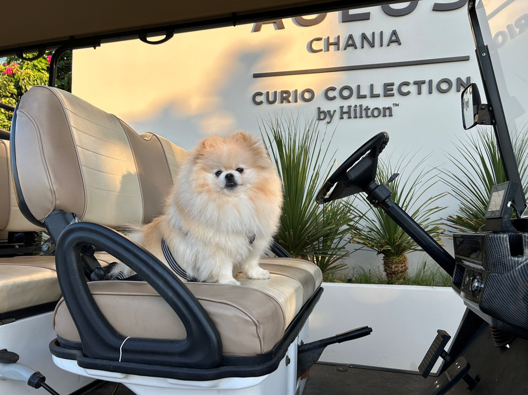 Aulūs Chania Resort, Curio Collection by Hilton主图
