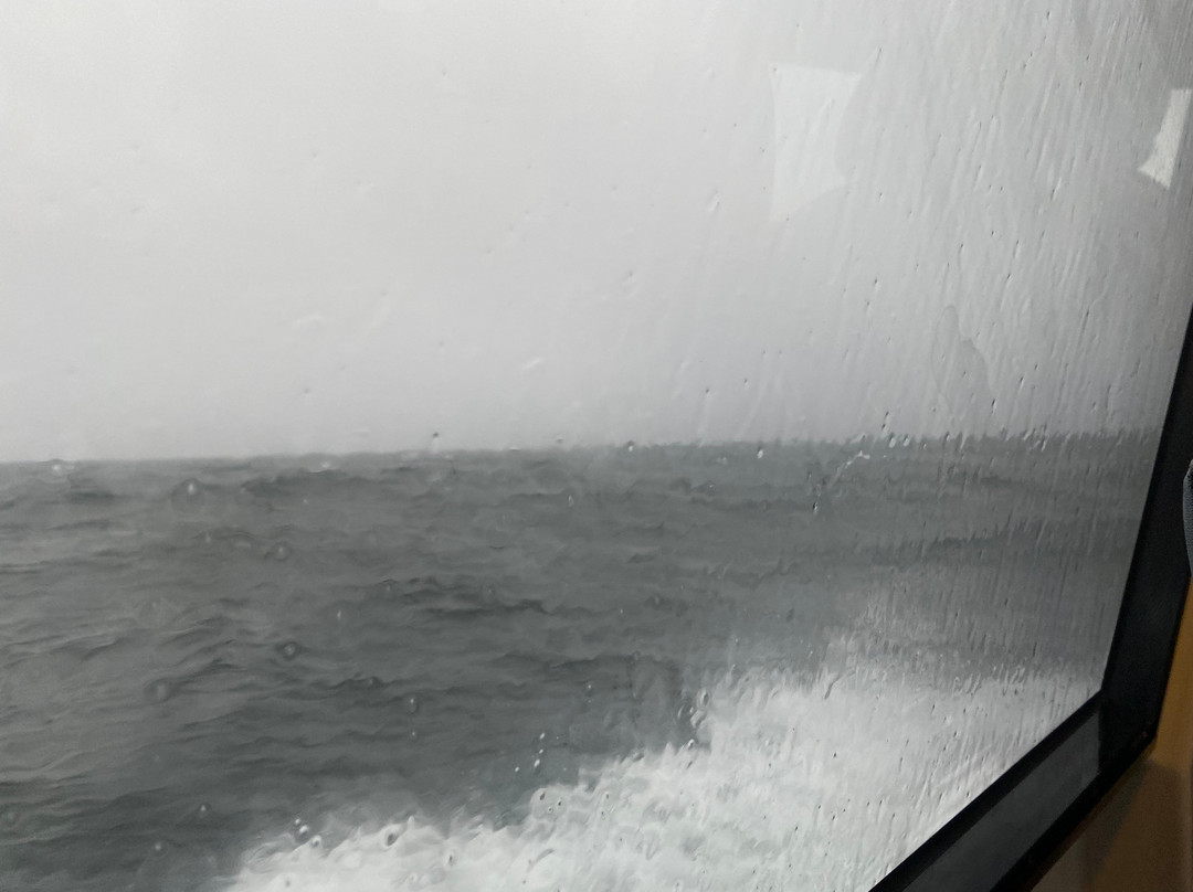 Western Isles Cruises-Mallaig必去景点