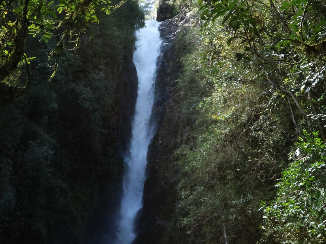 Cascata Paraiso-Campo Alegre必去景点