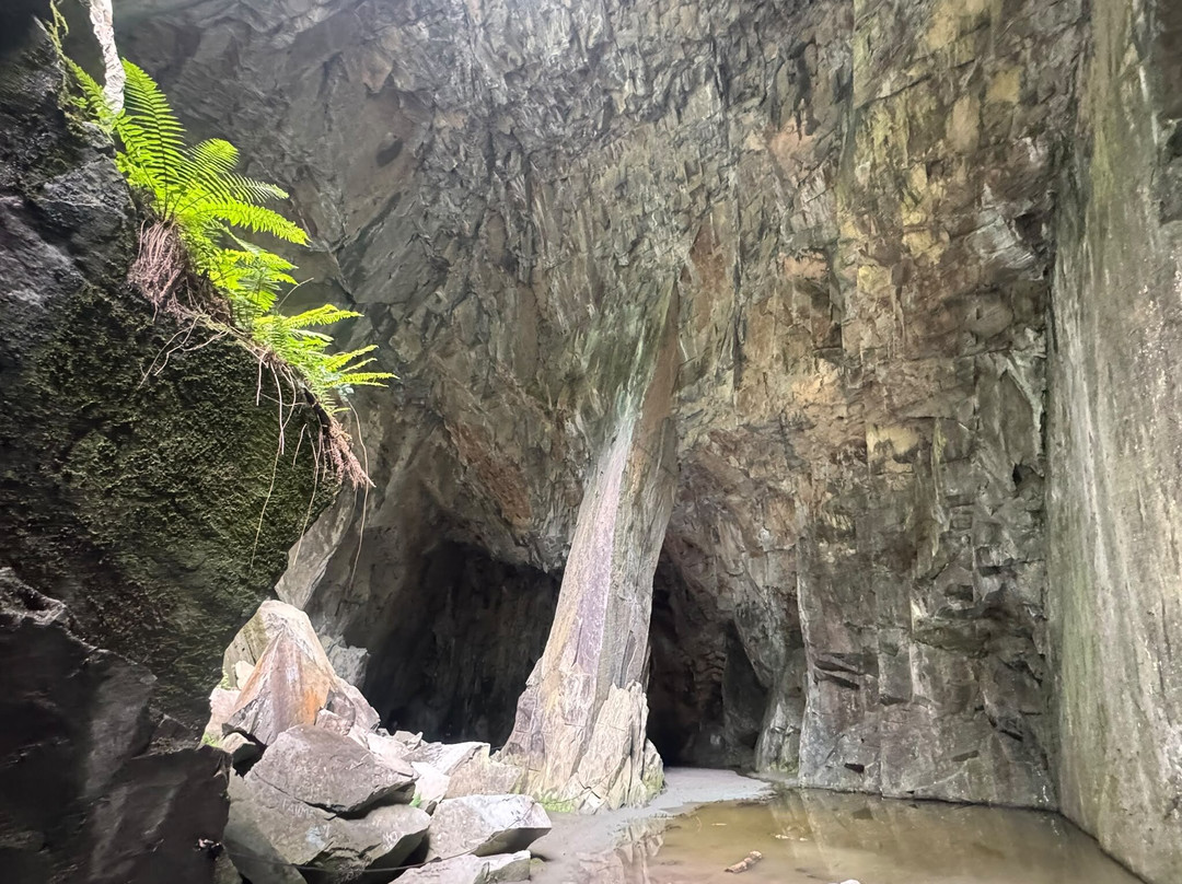 Cathedral Quarry (Cathedral Cave)-Little Langdale必去景点