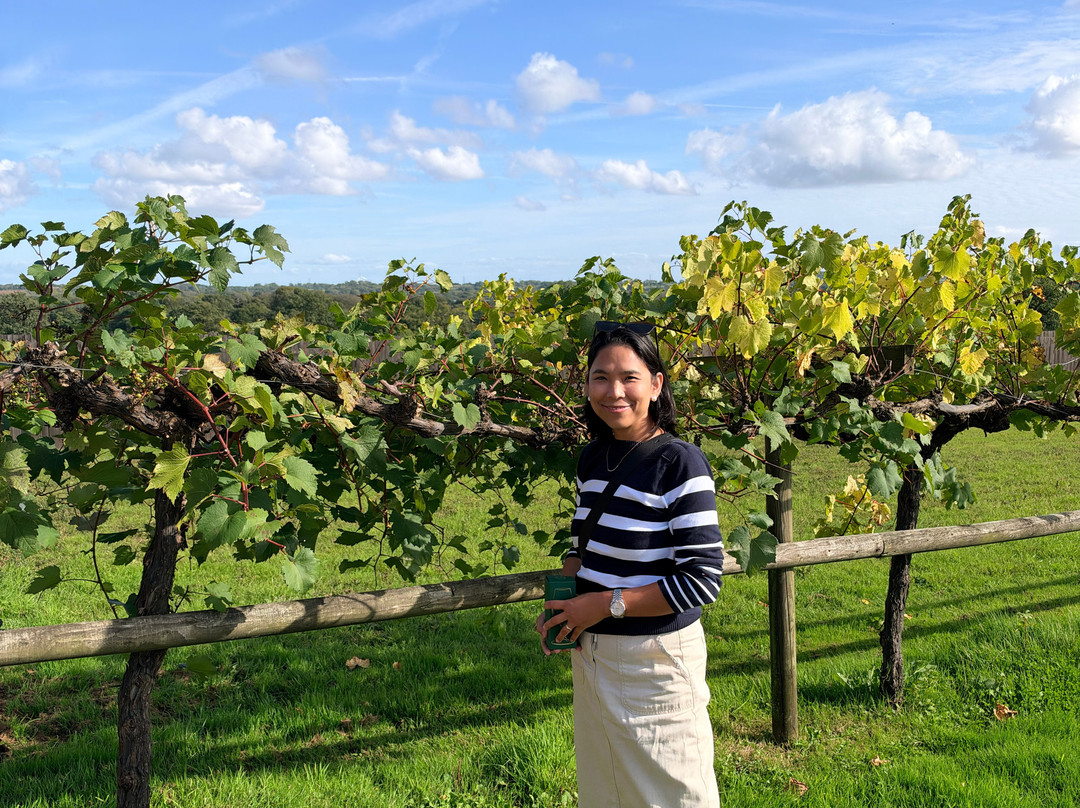 The Tasting Lodge @ Llanerch Vineyard-Hensol必去景点
