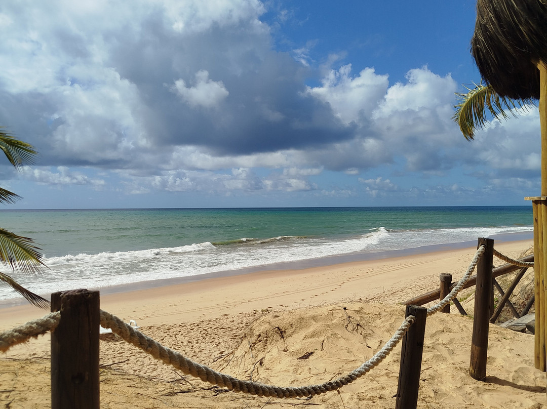 Iberostar Waves Bahia - All Inclusive主图