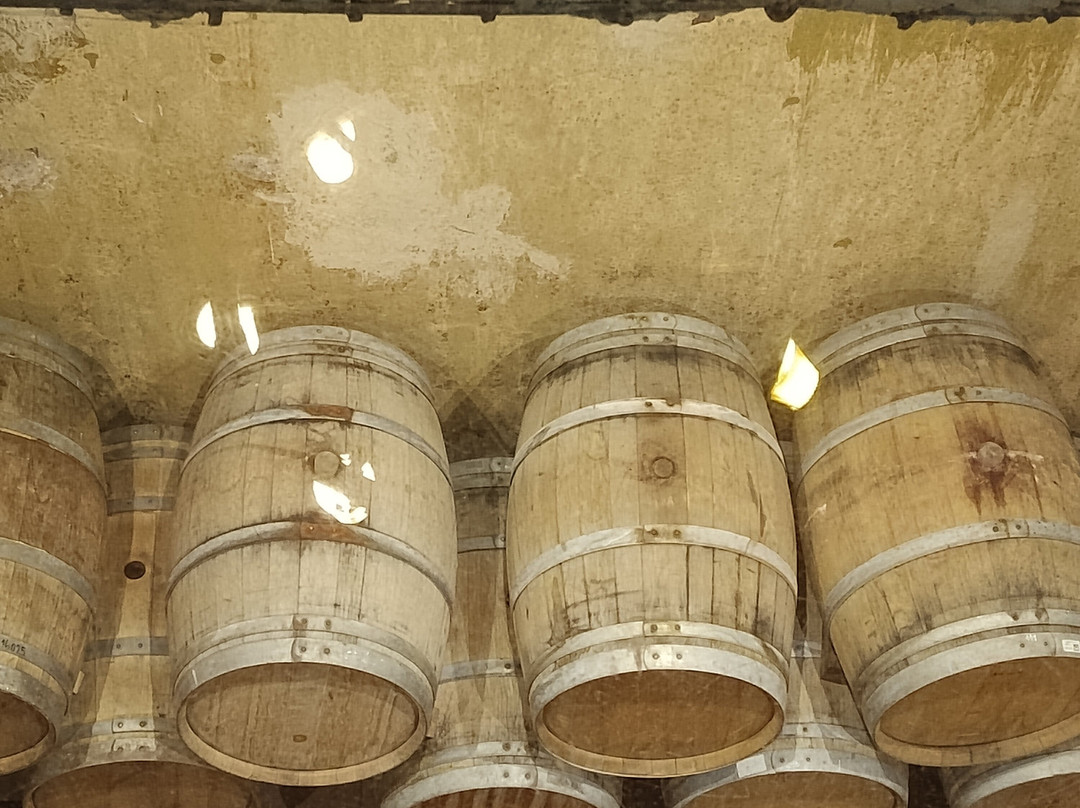 Bodega Labiano-圣拉斐尔必去景点