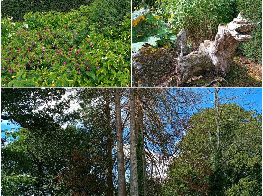 布拉尼城堡及花园-Blarney必去景点