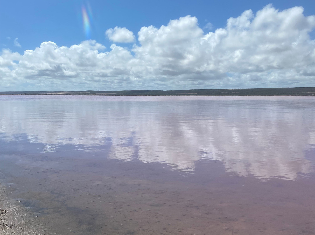 Pink Lake-卡尔巴里必去景点