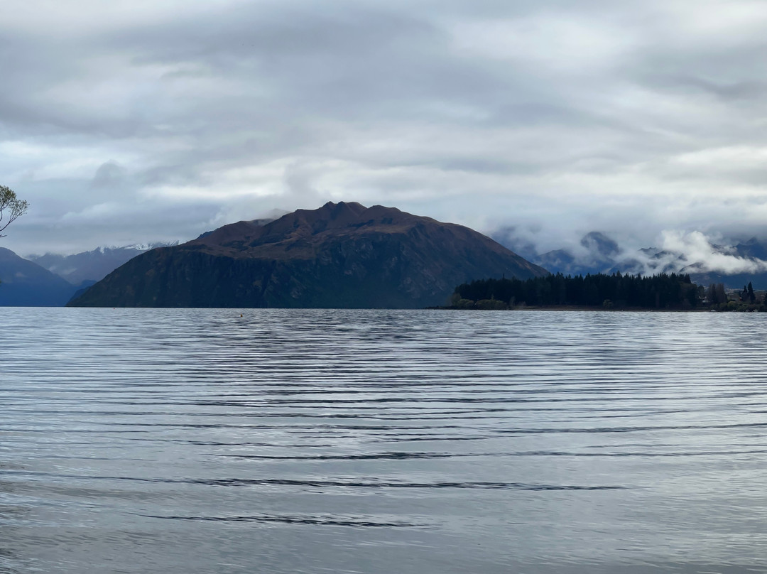 That Wanaka Tree-瓦纳卡必去景点