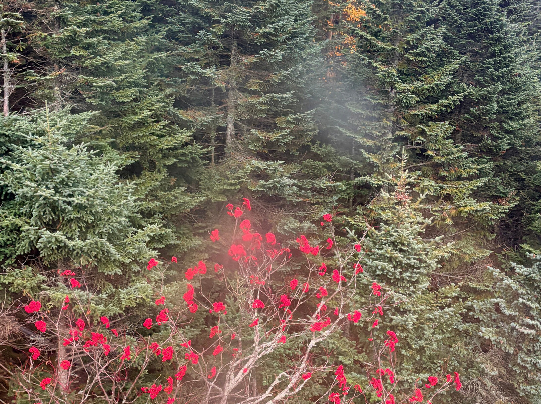 Mount Mansfield-斯托必去景点
