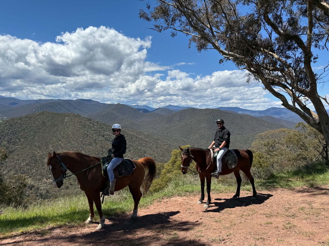 Watson's Mountain Country Trail Rides - Day Tours-曼斯菲尔德必去景点