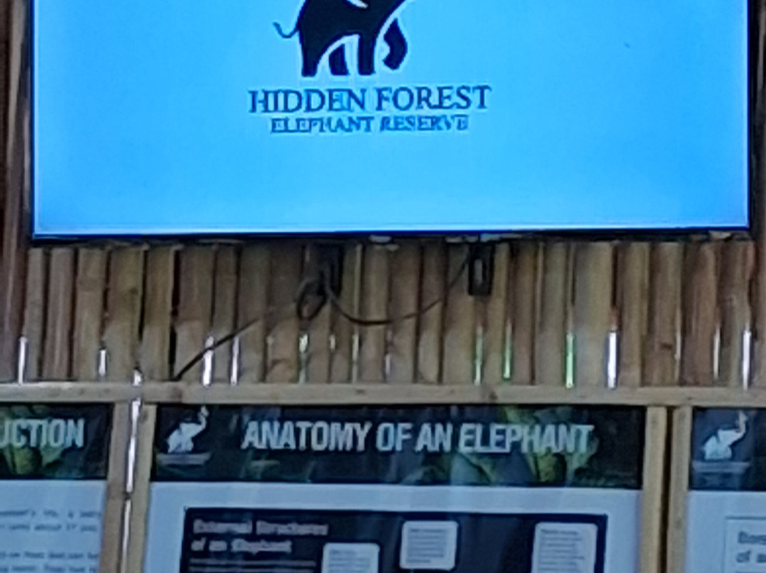 Hidden Forest Elephant Reserve-查龙必去景点